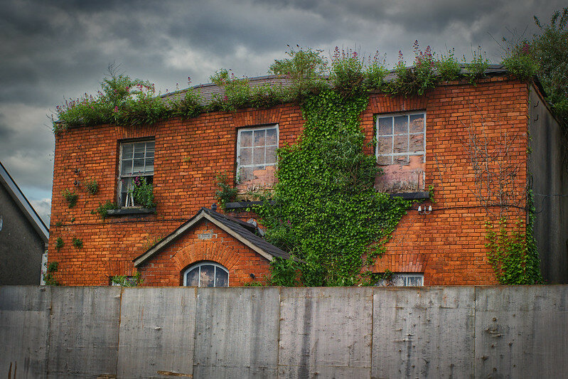 52892677800_236b3a69fd_c.jpg 52892677800_236b3a69fd_c.jpg