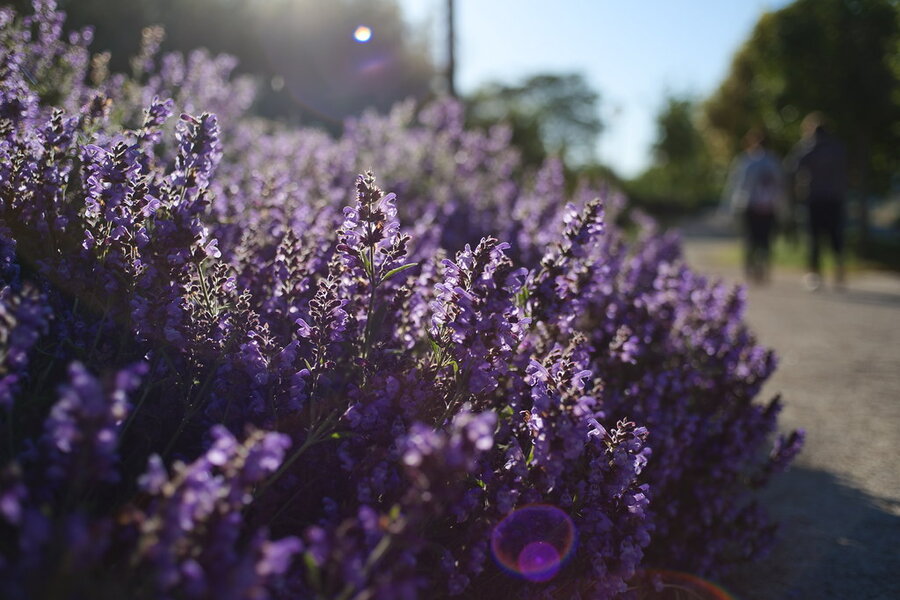 53704741243_c5b5b78a2b_b.jpg 53704741243_c5b5b78a2b_b.jpg