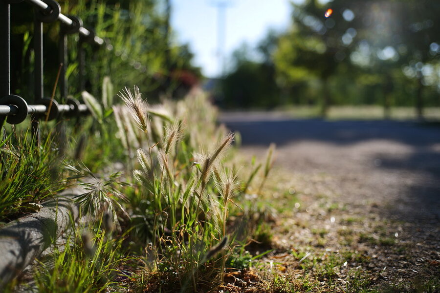 53704531581_a18ef984db_b.jpg 53704531581_a18ef984db_b.jpg