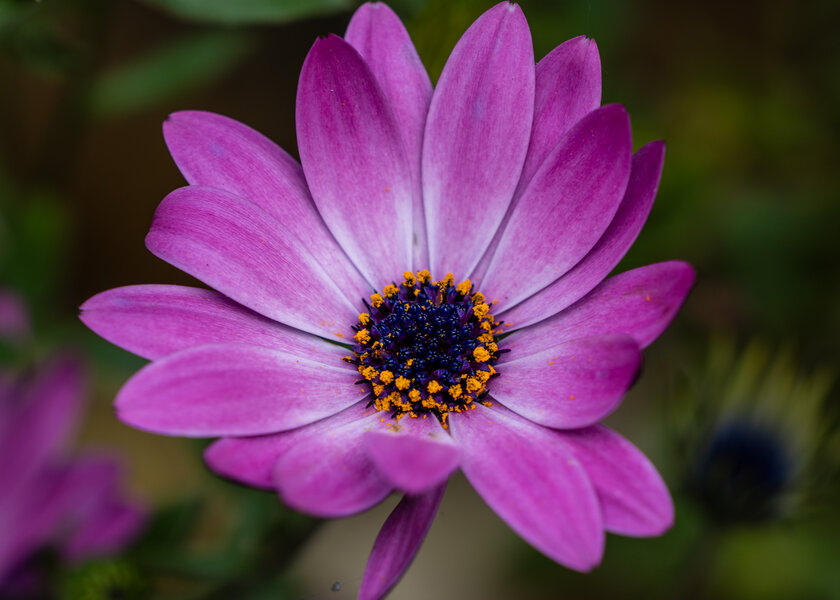 _1000889.jpg _1000889.jpg