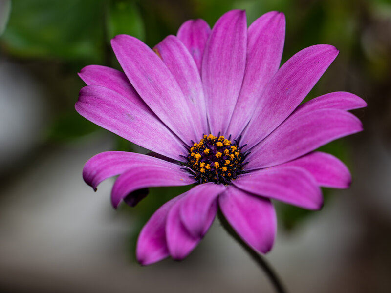 _1000890.jpg _1000890.jpg