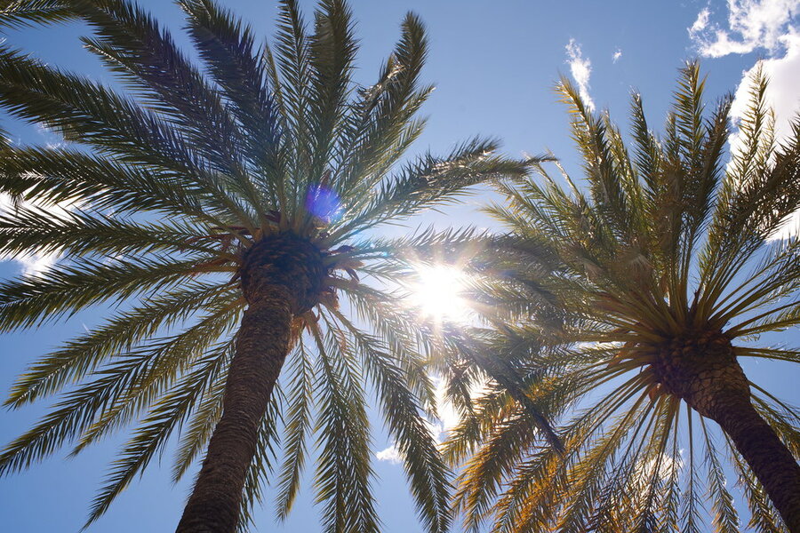 53710151268_690da3c70c_b.jpg 53710151268_690da3c70c_b.jpg