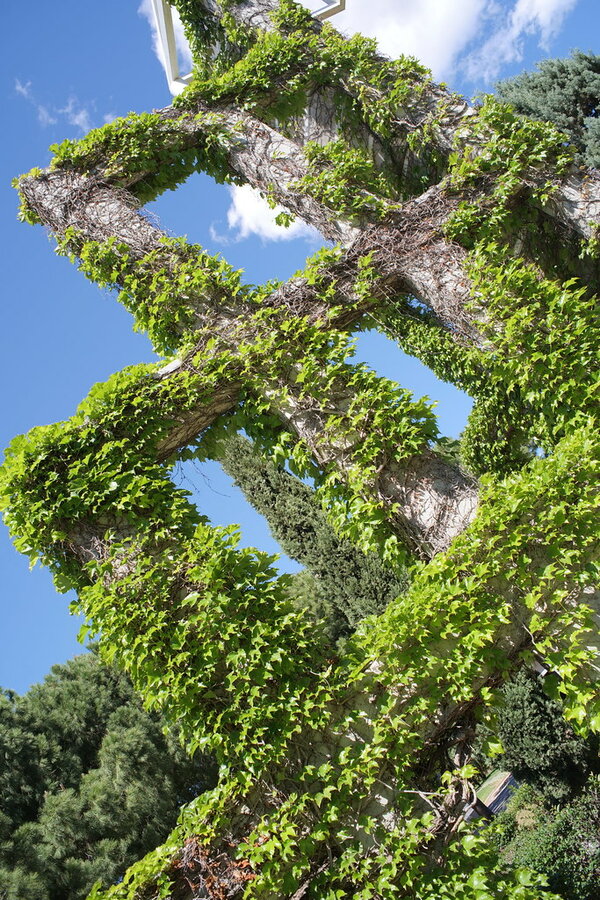 53710387835_df11403c39_b.jpg 53710387835_df11403c39_b.jpg