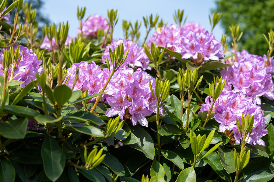 PANA0840.jpg PANA0840.jpg