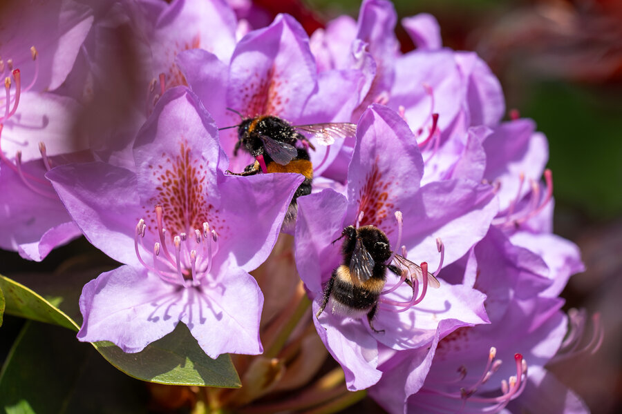 PANA0816.jpg PANA0816.jpg