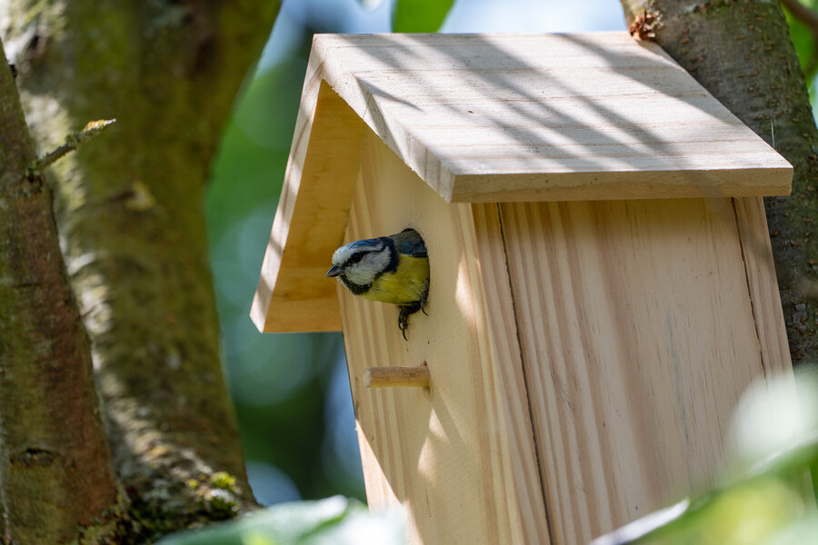 PANA0839.jpg PANA0839.jpg