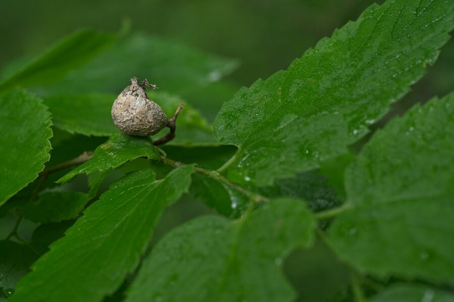 53723591482_e08d1642f9_h.jpg 53723591482_e08d1642f9_h.jpg