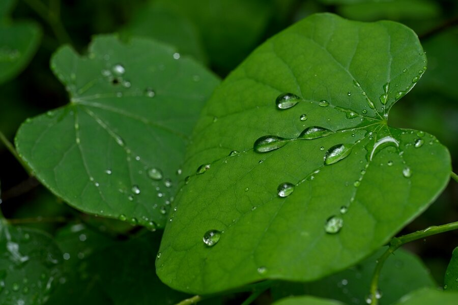 53724705758_e27f218158_h.jpg 53724705758_e27f218158_h.jpg