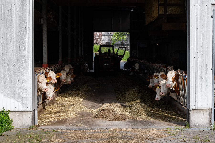 P1425348.jpg P1425348.jpg