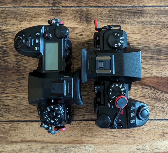 PXL_20240516_080933437~2_copy_1600x1460.jpg PXL_20240516_080933437~2_copy_1600x1460.jpg