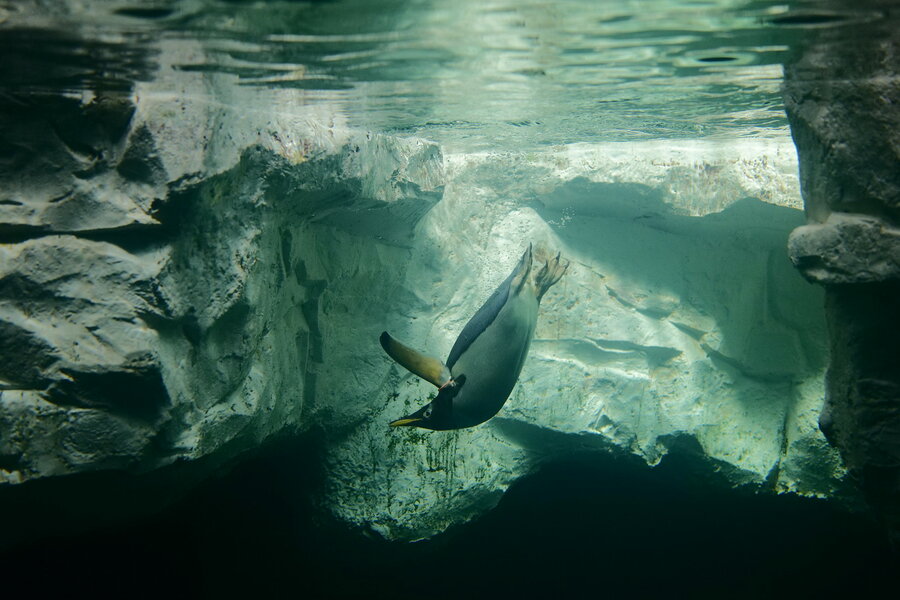 53731493172_85dff9782c_h.jpg 53731493172_85dff9782c_h.jpg