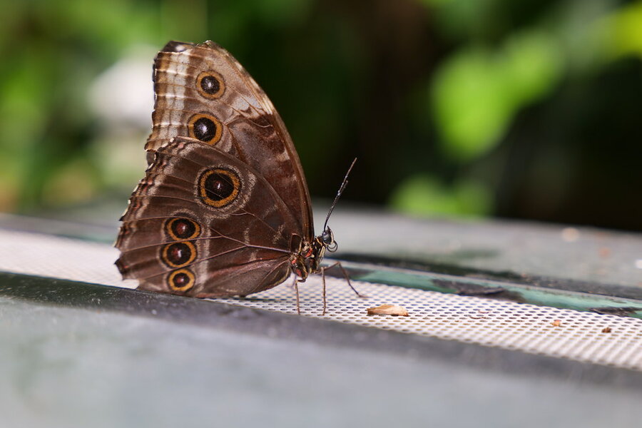 53735197911_c892146865_b.jpg 53735197911_c892146865_b.jpg