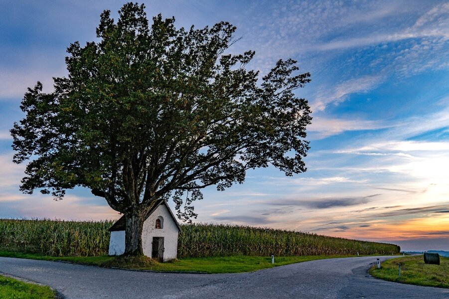 20240531_181823.jpg 20240531_181823.jpg