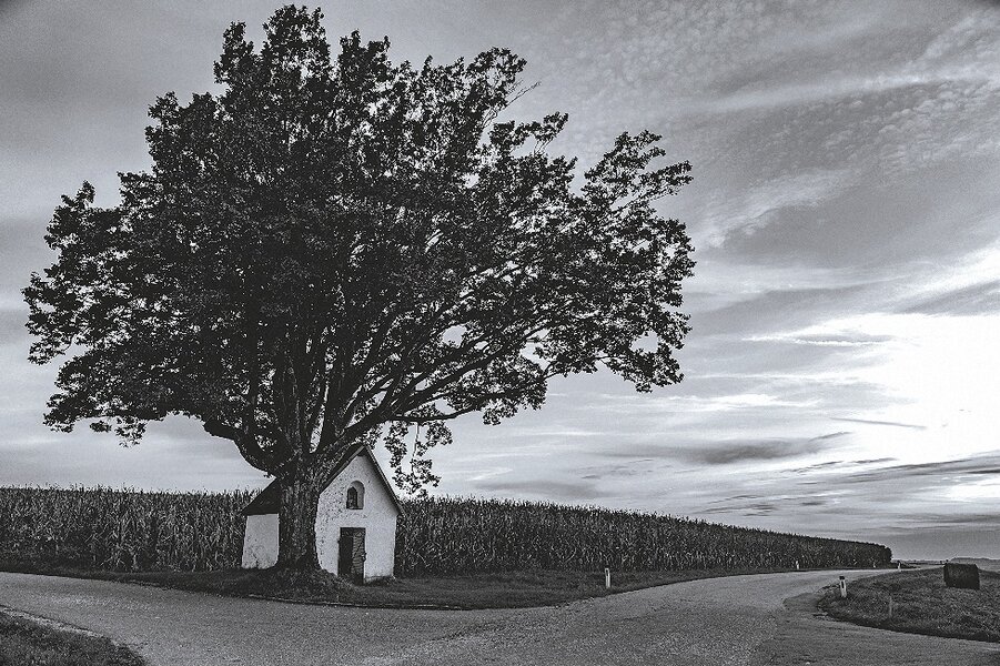 20240531_181744.jpg 20240531_181744.jpg