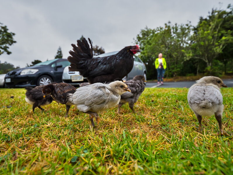 17122327459114209s.jpg 17122327459114209s.jpg