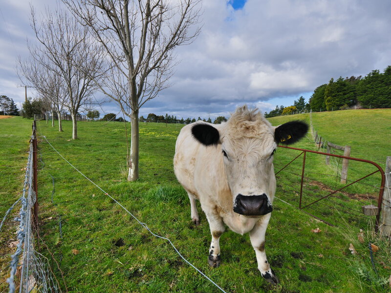 17090937118457735s.jpg 17090937118457735s.jpg