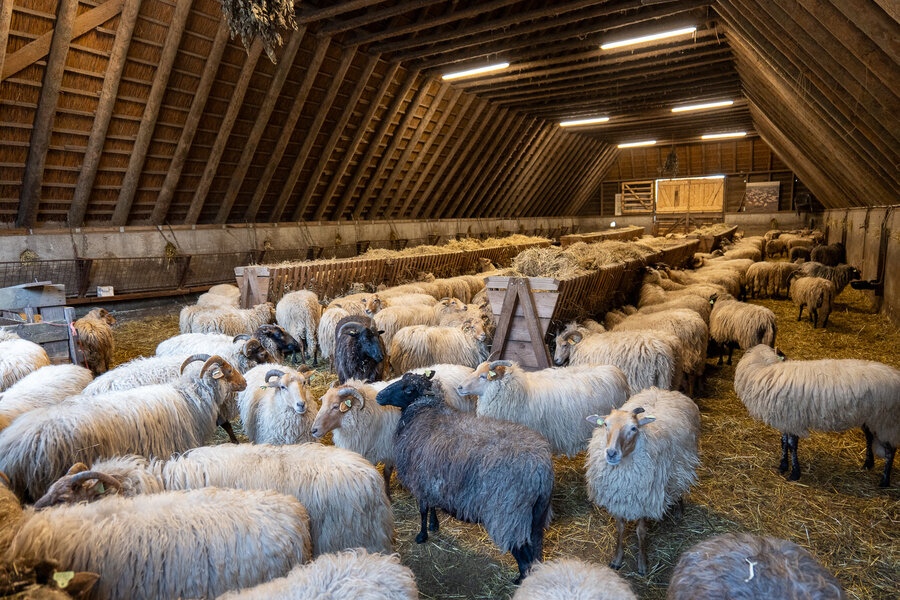 PANA0118.jpg PANA0118.jpg