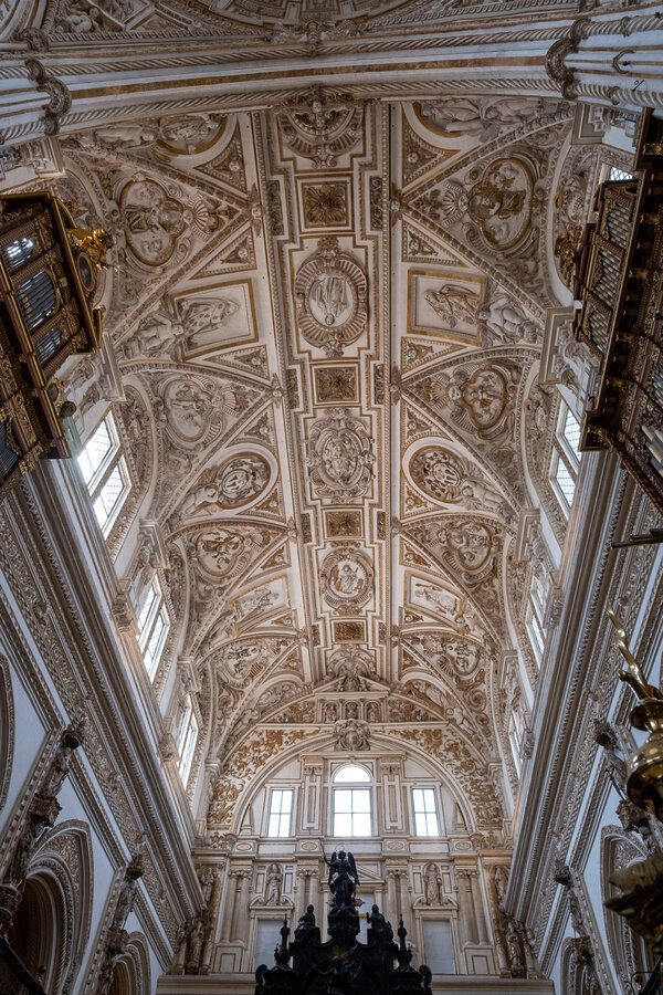 DSCF4120.jpg DSCF4120.jpg