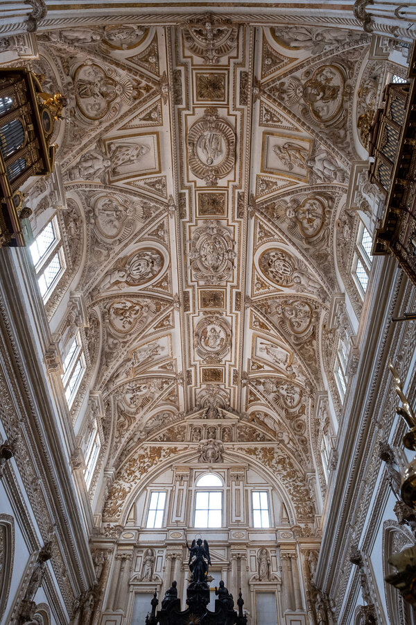 DSCF4120_6000.jpg DSCF4120_6000.jpg