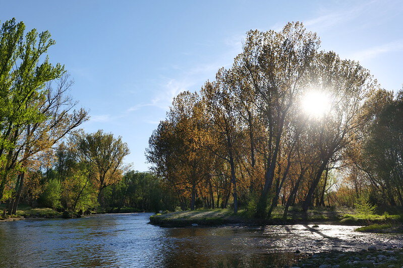 53660113452_c206352abf_c.jpg 53660113452_c206352abf_c.jpg