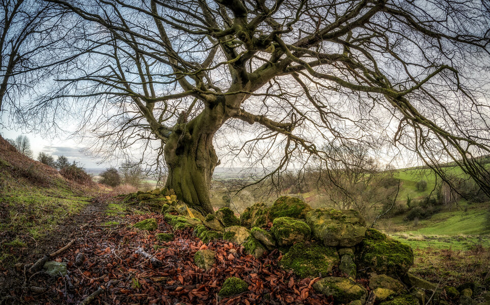 52594584475_09489c9624_o.jpg 52594584475_09489c9624_o.jpg