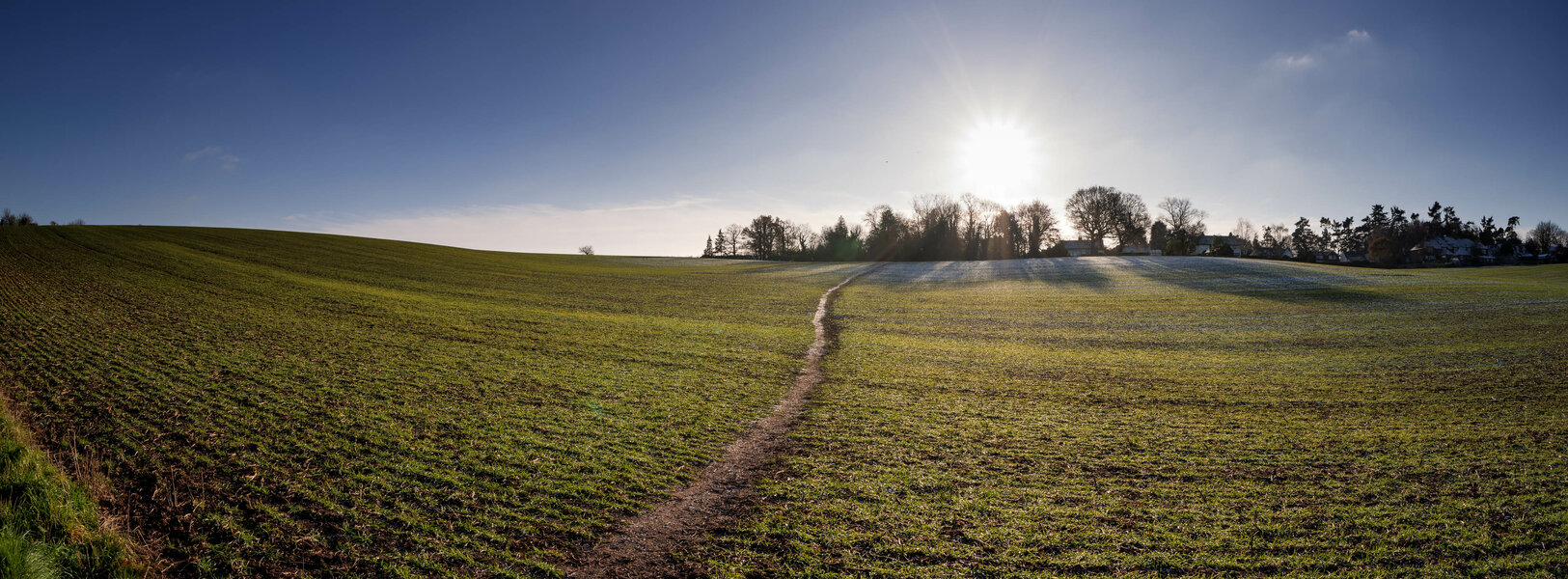 52582520820_30ee8f1f90_o.jpg 52582520820_30ee8f1f90_o.jpg