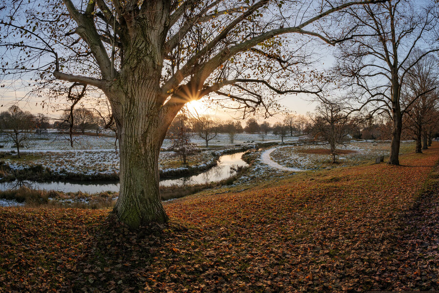 52573550660_ecef97e956_o.jpg 52573550660_ecef97e956_o.jpg