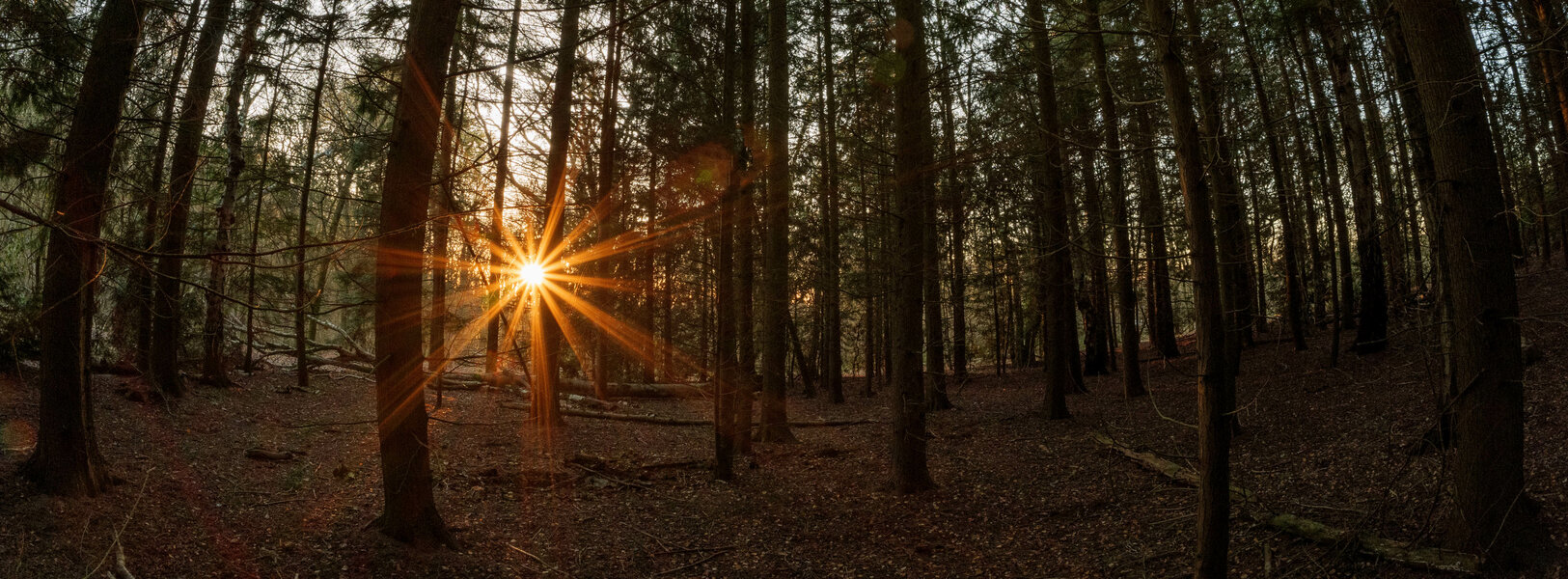 52565629669_5b013222f2_o.jpg 52565629669_5b013222f2_o.jpg