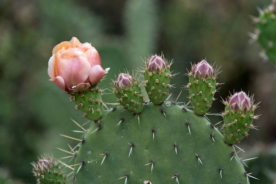 P1095759.jpeg P1095759.jpeg