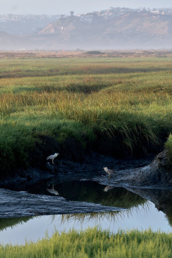 _1098016-RW2_DxO_DeepPRIMEXD.jpeg _1098016-RW2_DxO_DeepPRIMEXD.jpeg