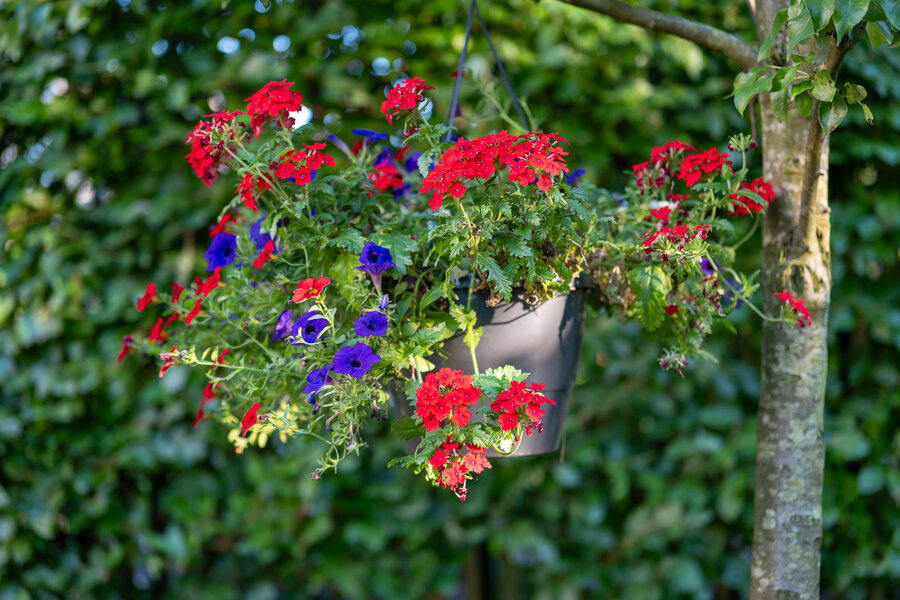 PANA1173.jpg PANA1173.jpg