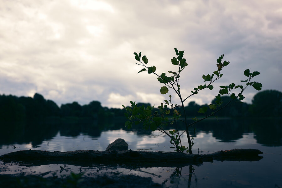 P1012272_DxO.jpg P1012272_DxO.jpg