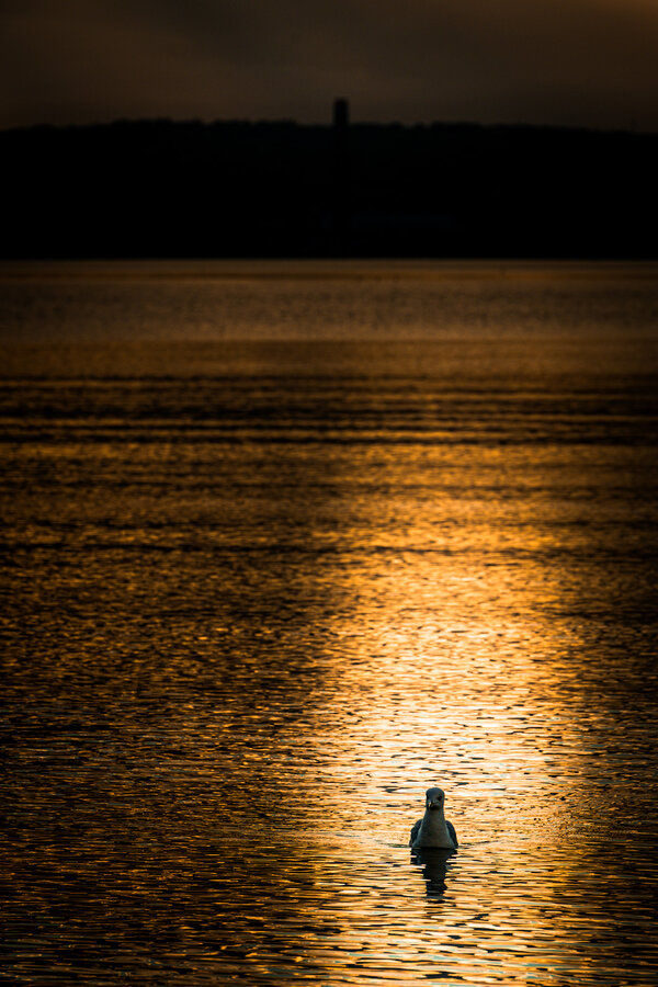 _1011087.jpg _1011087.jpg