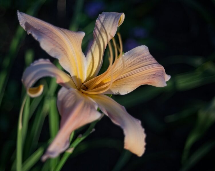 53849611919_09be80b23f_b.jpg 53849611919_09be80b23f_b.jpg