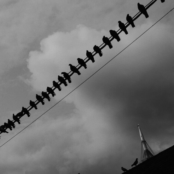 congregation [P22654] Jena Pancolar 50 @ F56 (Medium).JPG