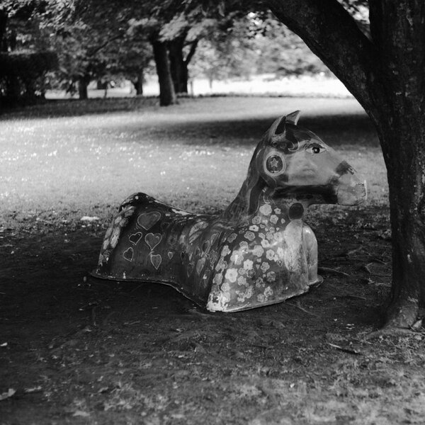 horse [P22592] Jena Pancolar 50 @ F28 (Medium).JPG