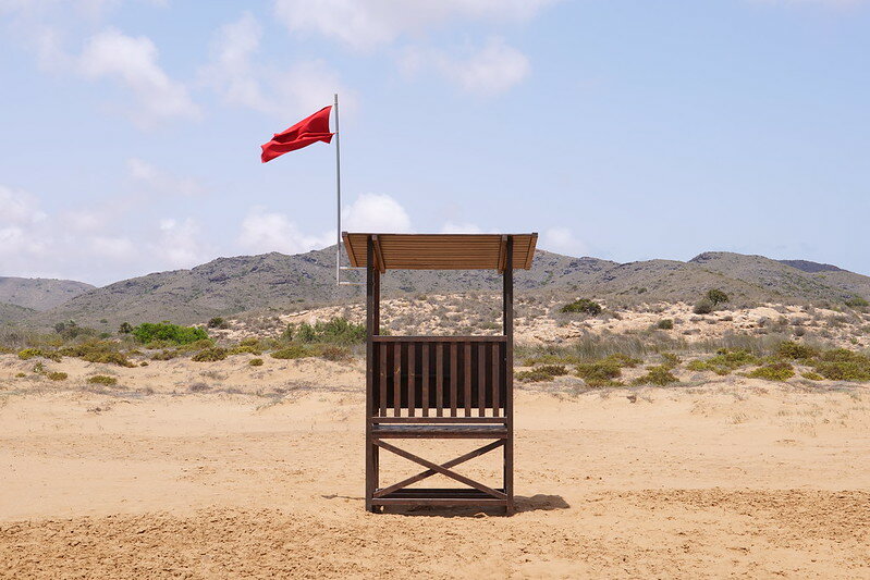 53863495646_798a1e9aa7_c.jpg 53863495646_798a1e9aa7_c.jpg