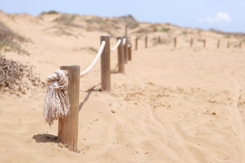 53863494606_c7747a46e3_c.jpg 53863494606_c7747a46e3_c.jpg