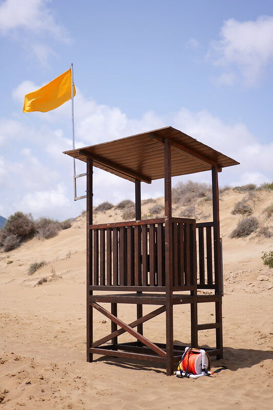 53871161682_fa18e3abaf_c.jpg 53871161682_fa18e3abaf_c.jpg