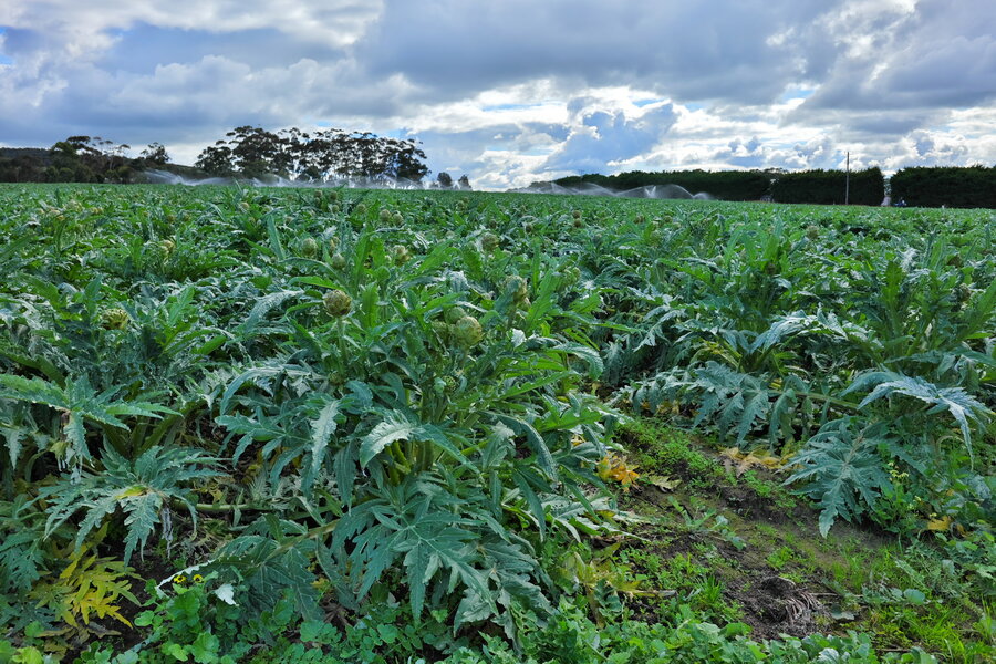 240817s-P1013421.jpg 240817s-P1013421.jpg