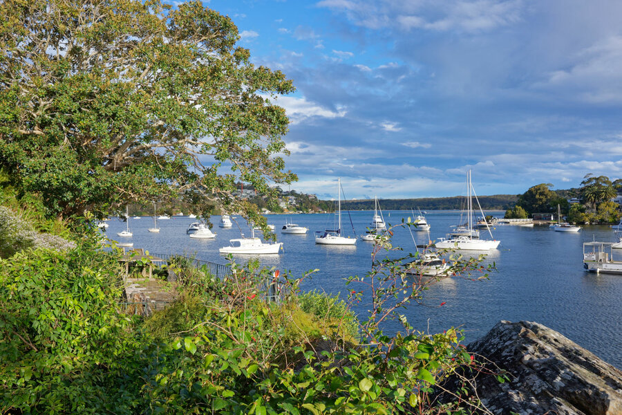 P1000233_DxO.jpg P1000233_DxO.jpg