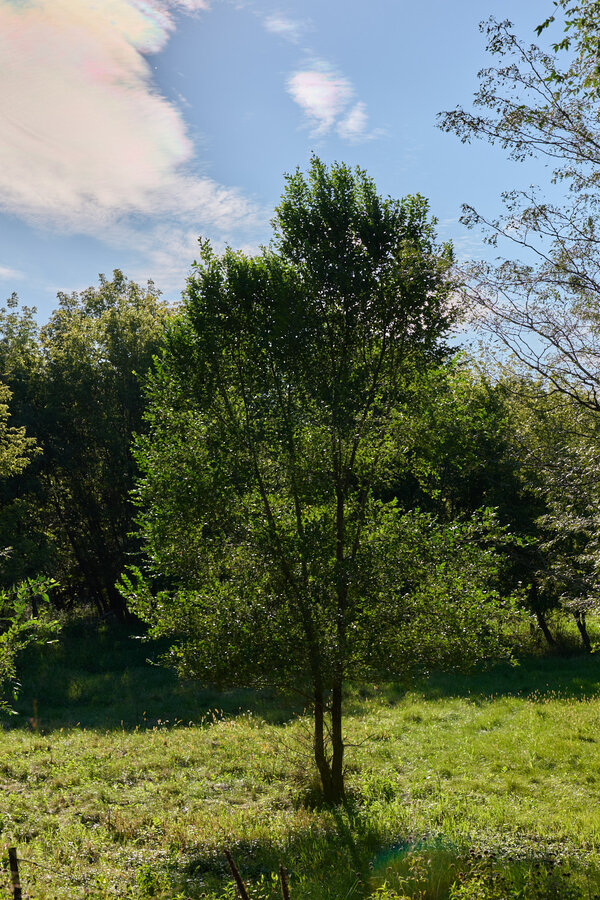 P1026027JPEG - 1600px for web use.jpg P1026027JPEG - 1600px for web use.jpg