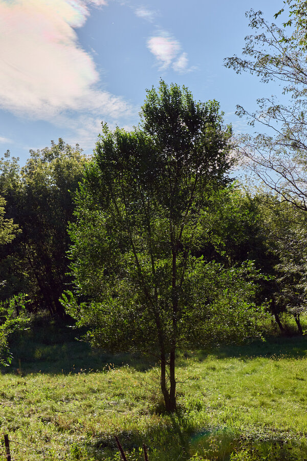 P1026030JPEG - 1600px for web use 1.jpg P1026030JPEG - 1600px for web use 1.jpg