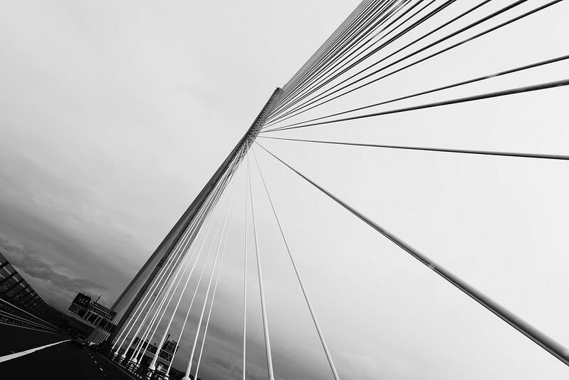 53947433141_8bff34b24e_c.jpg 53947433141_8bff34b24e_c.jpg