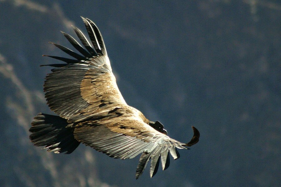 IMG_3137.jpg IMG_3137.jpg