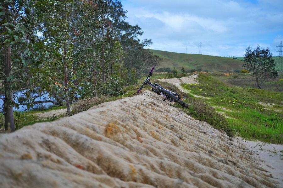 241007s-P1013805.jpg 241007s-P1013805.jpg