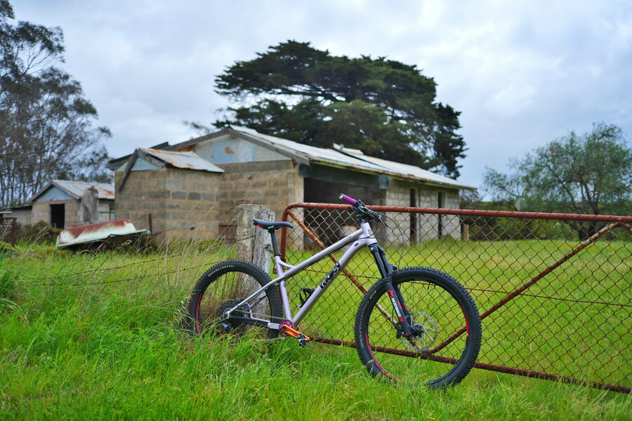 241007s-P1013802.jpg 241007s-P1013802.jpg