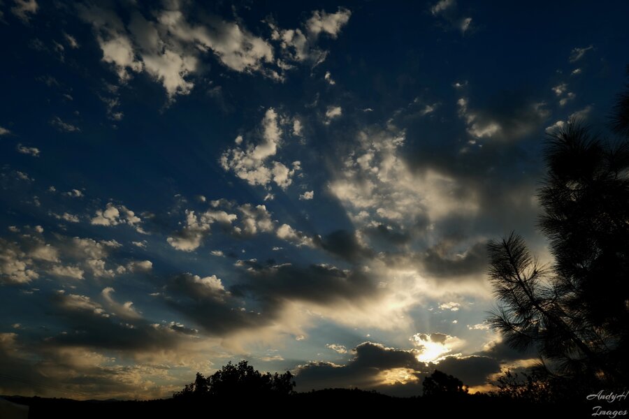 PS5A4928r.jpg PS5A4928r.jpg