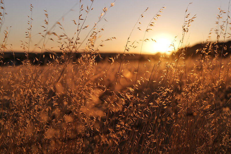 53932951013_80e2c333ef_c.jpg 53932951013_80e2c333ef_c.jpg