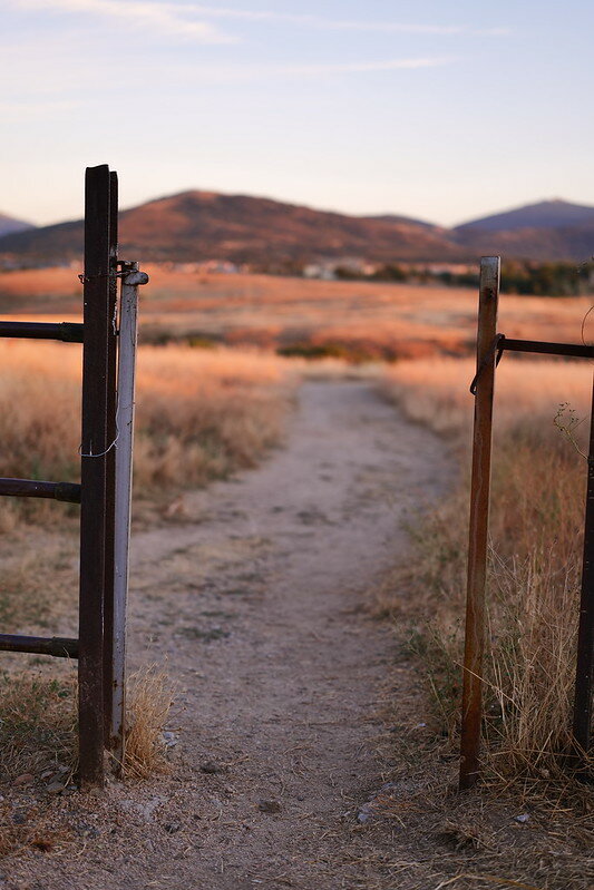 53928692441_6fe8c1f3e6_c.jpg 53928692441_6fe8c1f3e6_c.jpg